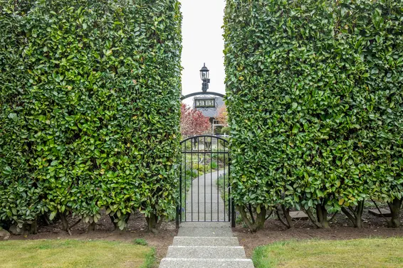 515 E 19th Street, North Vancouver - hedfe  