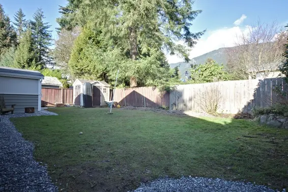 Yard  