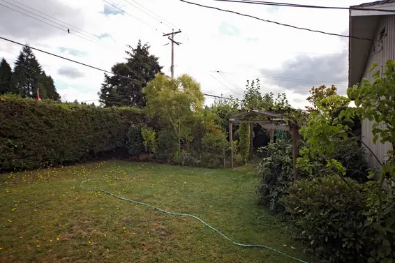 Yard  