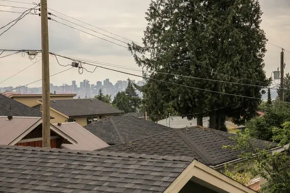 View  