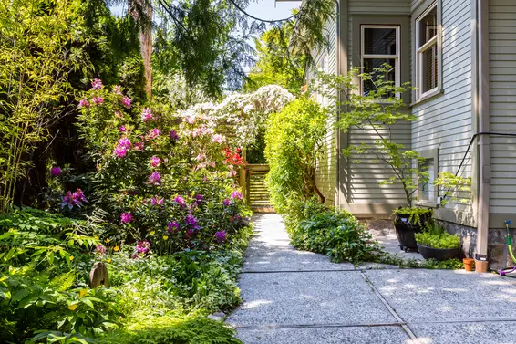 Backyard - 3096 Fromme Road, North Vancouver  