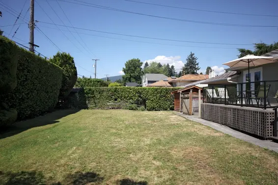 Backyard  