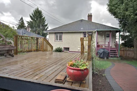 Backyard  