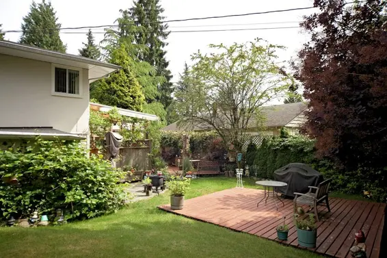 Yard  