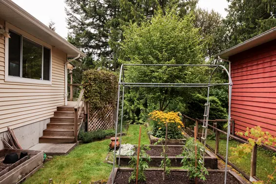 Side yard  