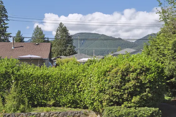 546 West 20th Street, North Vancouver For Sale - image 55