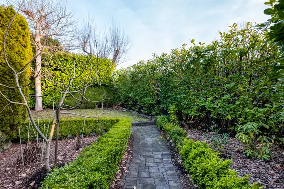 338 West 25th Street, North Vancouver For Sale - image 46