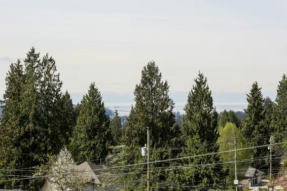 View - 329 East 27th Street  