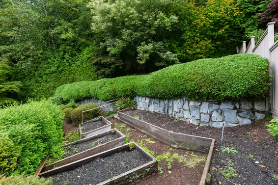 Backyard - 998 Dempsey Road, North Vancouver  