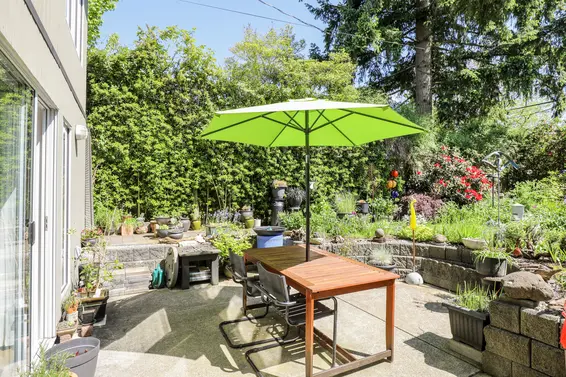 Backyard - 317 East 20th Street  