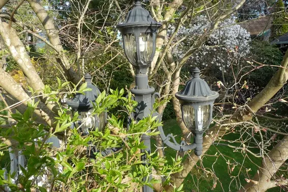Garden  