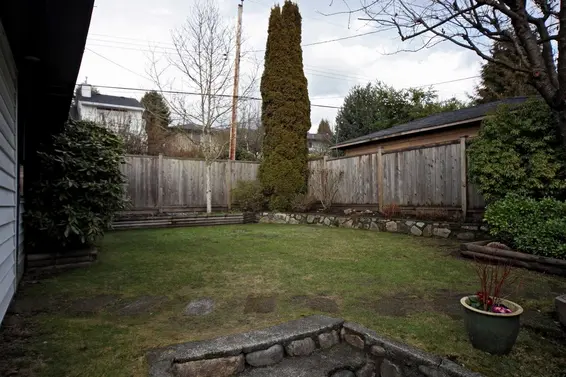Yard  