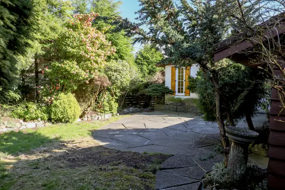 Backyard - 866 East 10th Street, North Vancouver  
