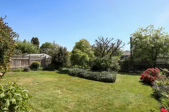 Backyard - 459 East 16th Street, North Vancouver  