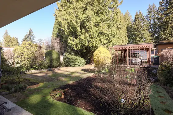 Backyard - 1136 West 22nd Street, North Vancouver  