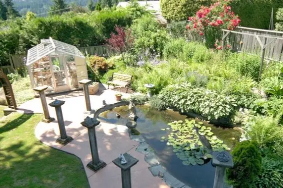 Garden  