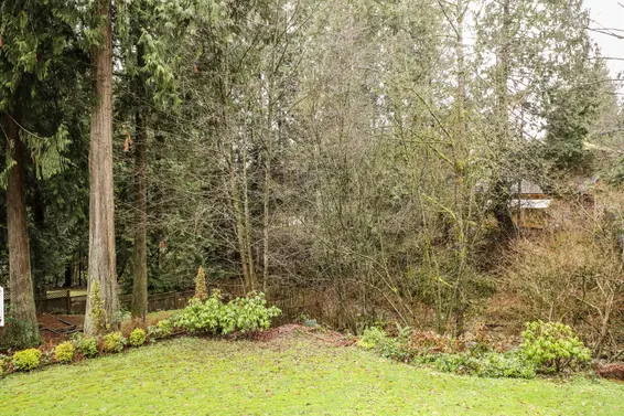 Backyard - 4353 Ruth Crescent  