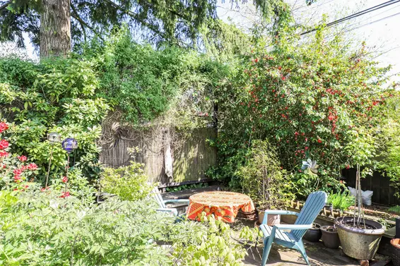 Backyard - 317 East 20th Street  