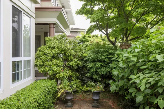 Patio - 9-251 East 11th Street  