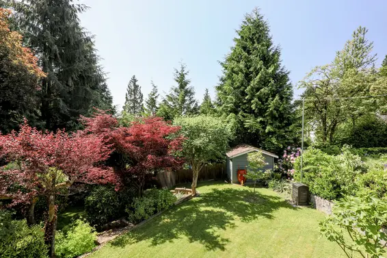 Backyard - 1391 Coleman Street  