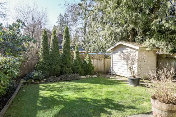 Backyard - 1101 Clements Avenue, North Vancouver  