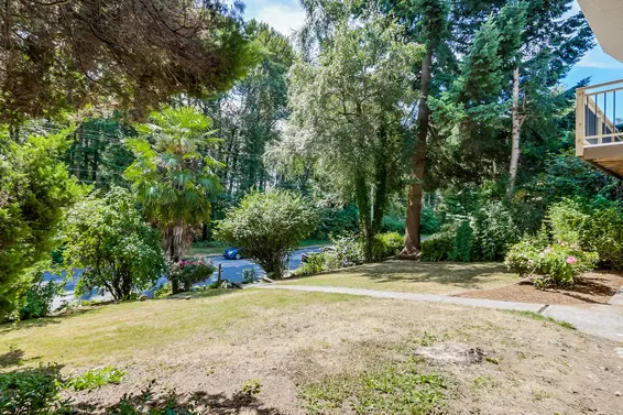 Front yard  