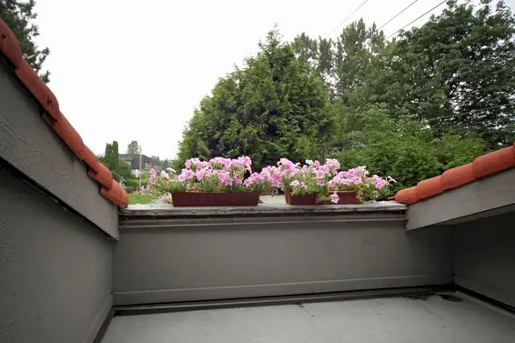 Bedroom deck  