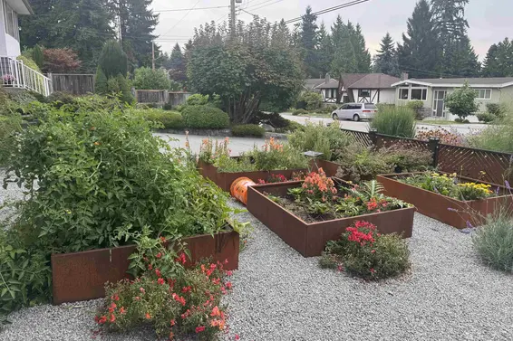 2568 Carnation Street, North Vancouver For Sale - image 33