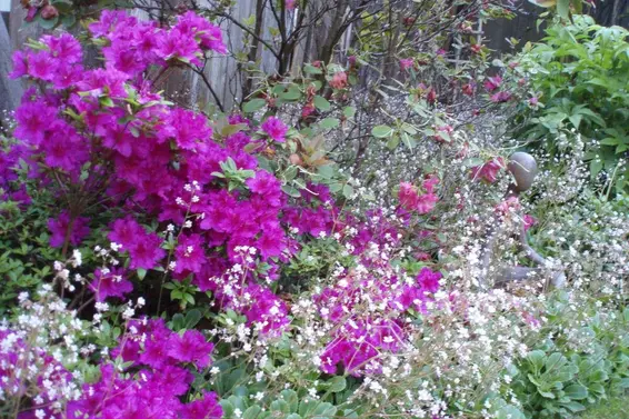 1498 Chamberlain Drive, North Vancouver For Sale - image 28