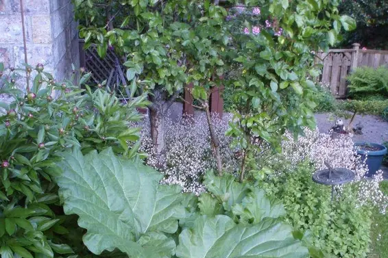 1498 Chamberlain Drive, North Vancouver For Sale - image 34