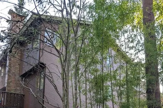 1498 Chamberlain Drive, North Vancouver For Sale - image 4