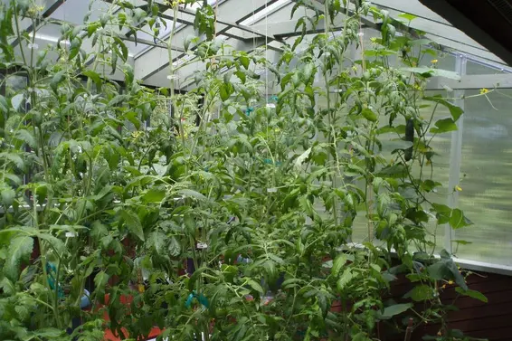 1498 Chamberlain Drive, North Vancouver For Sale - image 40