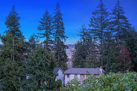 1045 Cortell Street, North Vancouver For Sale - image 10