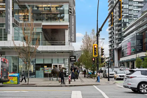 1509 125 East 14th Street, North Vancouver For Sale - image 14