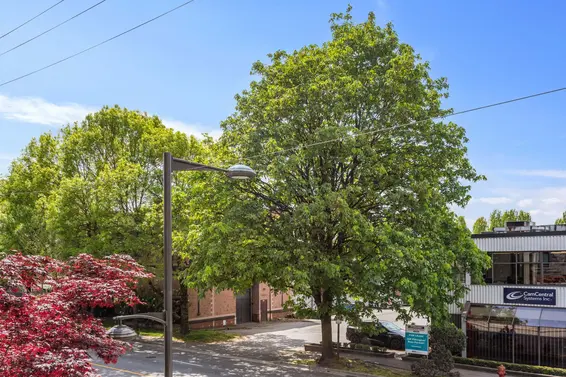 208 1519 Crown Street, North Vancouver For Sale - image 25