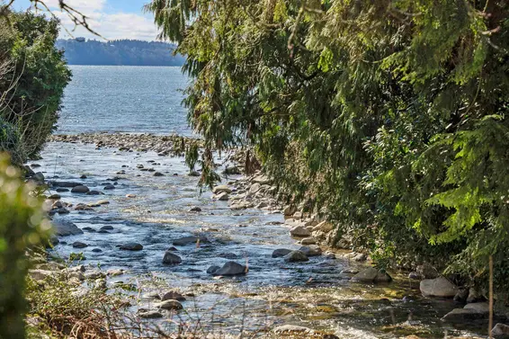 4341 Erwin Drive, West Vancouver For Sale - image 10