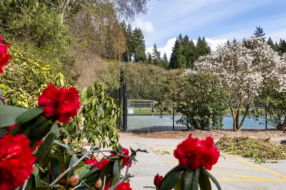 3680 Edgemont Boulevard, North Vancouver For Sale - image 39