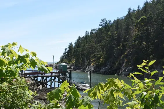 4890 The Dale, West Vancouver For Sale - image 38
