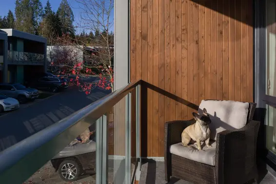 35 3595 Salal Drive, North Vancouver For Sale - image 17