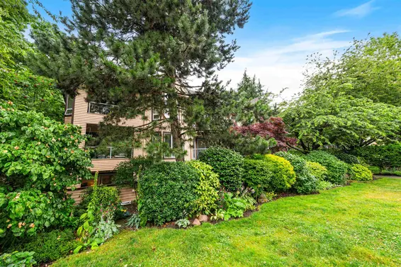 101 123 East 6th Street, North Vancouver For Sale - image 31