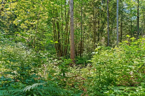 43 650 Roche Point Drive, North Vancouver For Sale - image 35