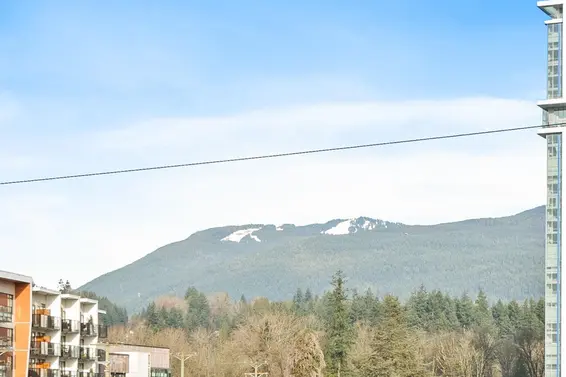 303 1519 Crown Street, North Vancouver For Sale - image 27