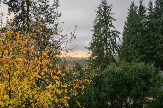 514 1000 Bowron Court, North Vancouver For Sale - image 4