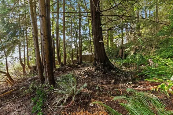 478 Craigmohr Drive, West Vancouver For Sale - image 7
