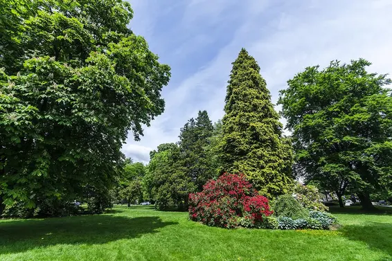 802 114 West Keith Road, North Vancouver For Sale - image 34