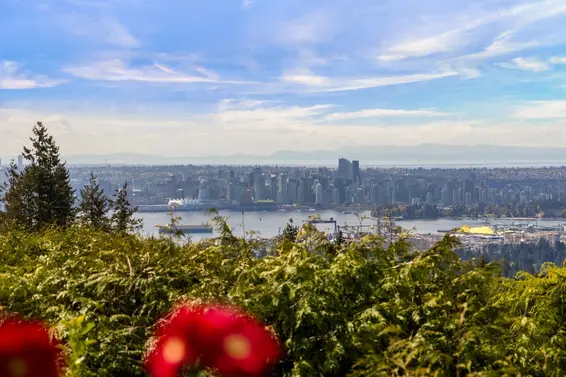 403 Newdale Court, North Vancouver For Sale - image 39