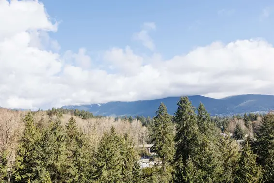 1001 2012 Fullerton Avenue, North Vancouver For Sale - image 24