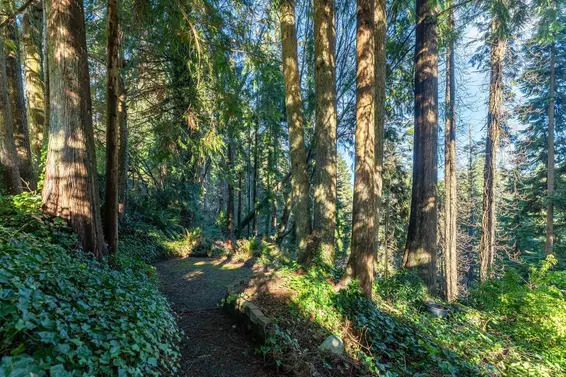 1588 Merlynn Crescent, North Vancouver For Sale - image 29