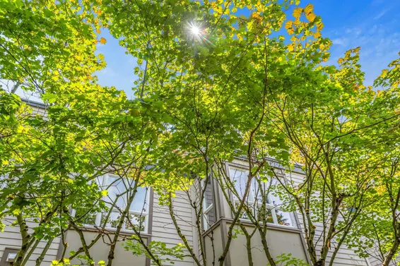 403 106 West Kings Road, North Vancouver For Sale - image 28
