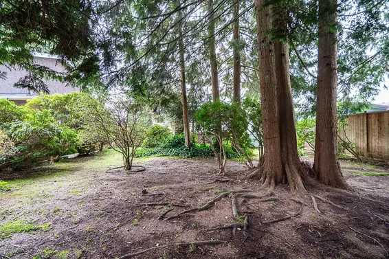 1634 Ross Road, North Vancouver For Sale - image 35